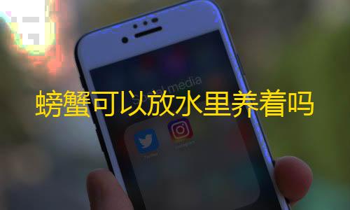 防cc高防云主机螃蟹可以放水里养着吗